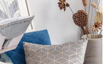 Load image into Gallery viewer, Gold Printing Pattern Velvet Cushion Covers
