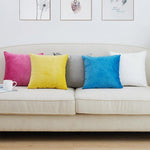 Load image into Gallery viewer, Dutch Velvet Cushion Covers - Available in Multiple Colours
